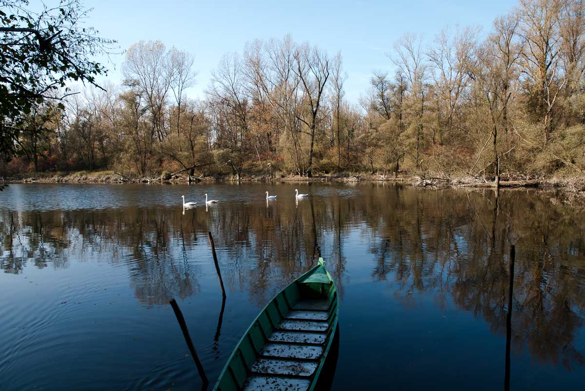 07-anello-lanca-bernate