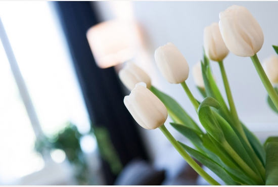 CAMERA STANDARD MORA